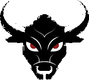 San Antonio Toros logo